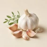 Stabilized Allicin ingredient