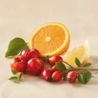Vitamin C ingredient